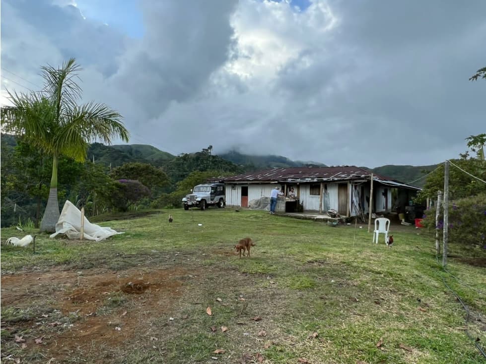 VENTA DE FINCA EN VEREDA PARAMILLO, FRESNO, TOLIMA - 1