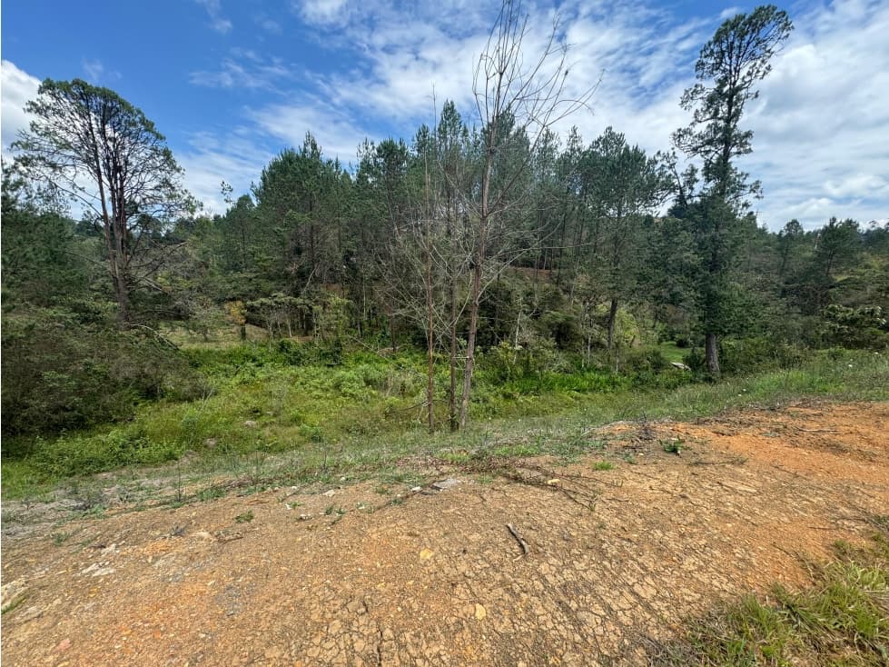 Lote en venta en EL RETIRO - 1