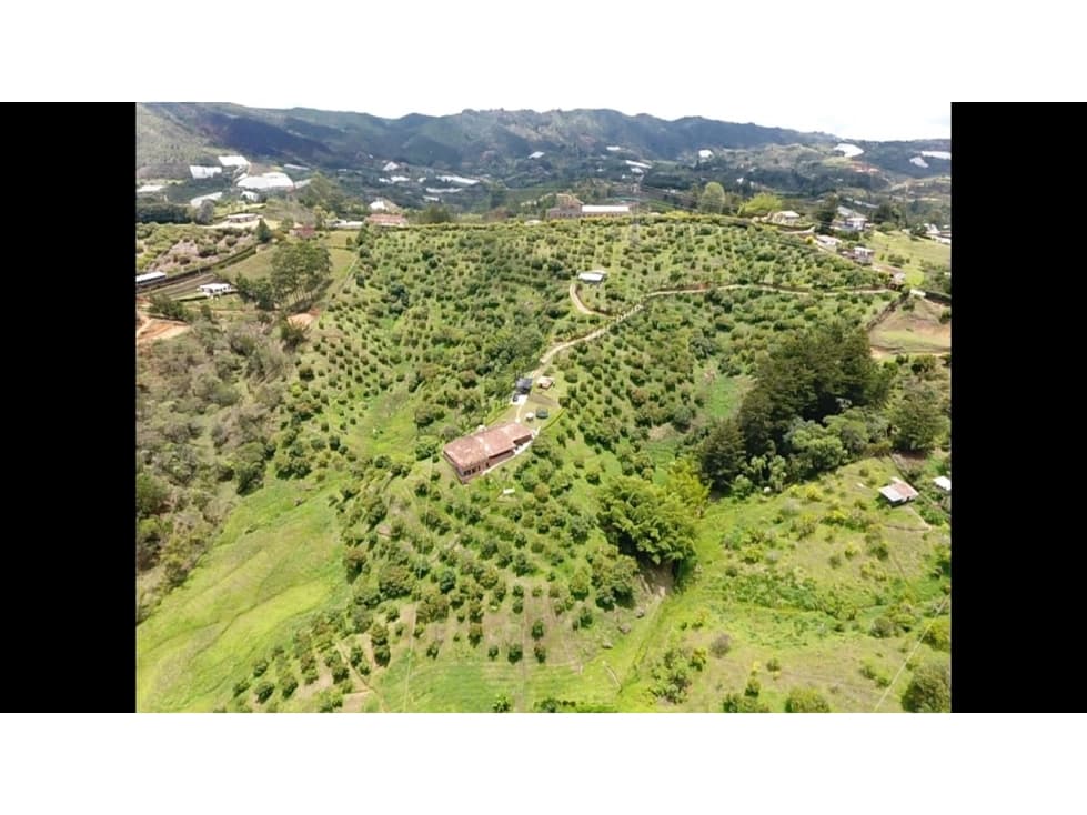 Lote en venta en San Vicente, Antioquia. - 1