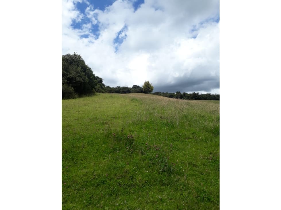 Vendo lote en Tabio Rio Frio Oriental - 1