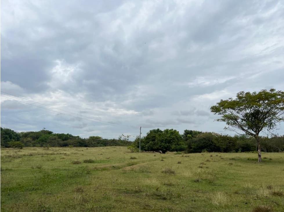 ARRIENDO FINCA FUNZA DIFERENTES USOS - 1