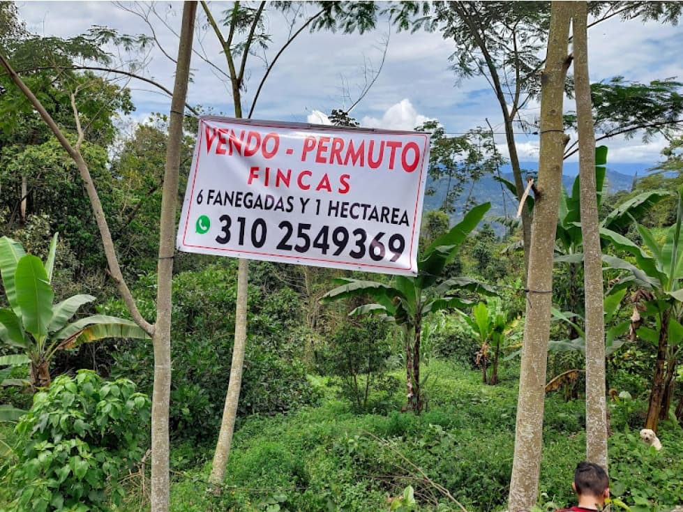 VENTA FINCA EN MESITAS DEL COLEGIO - 1