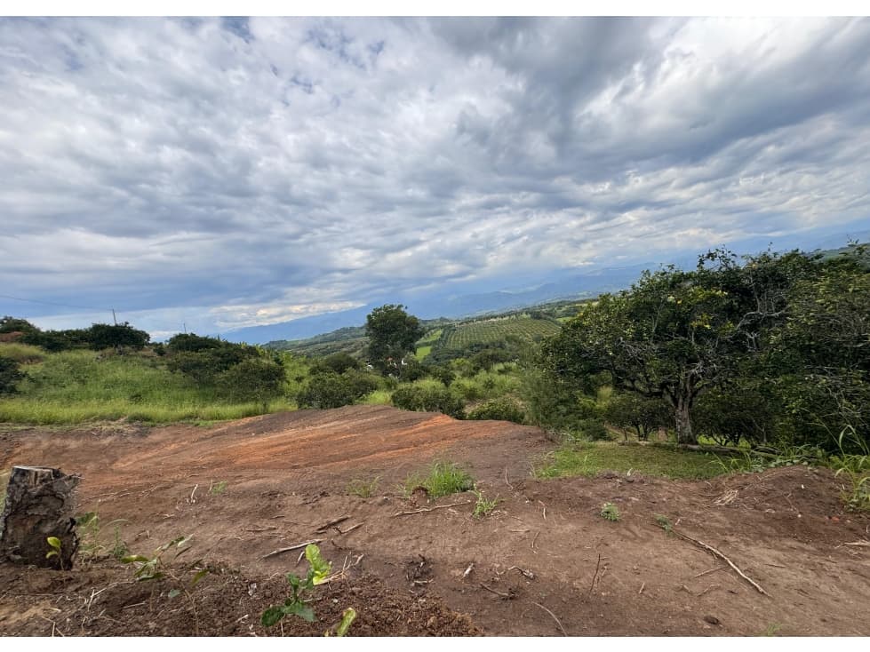Lote en venta - Las Margaritas - Arauca - 1