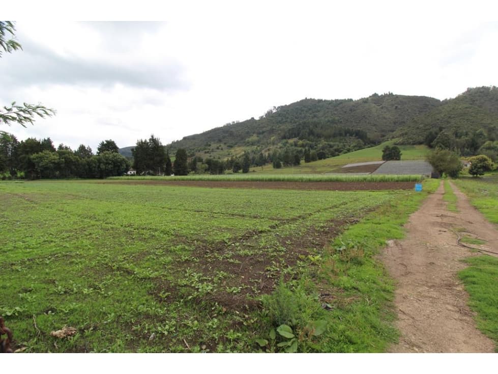 Finca/lote Subachoque: 109 fanegadas - 1
