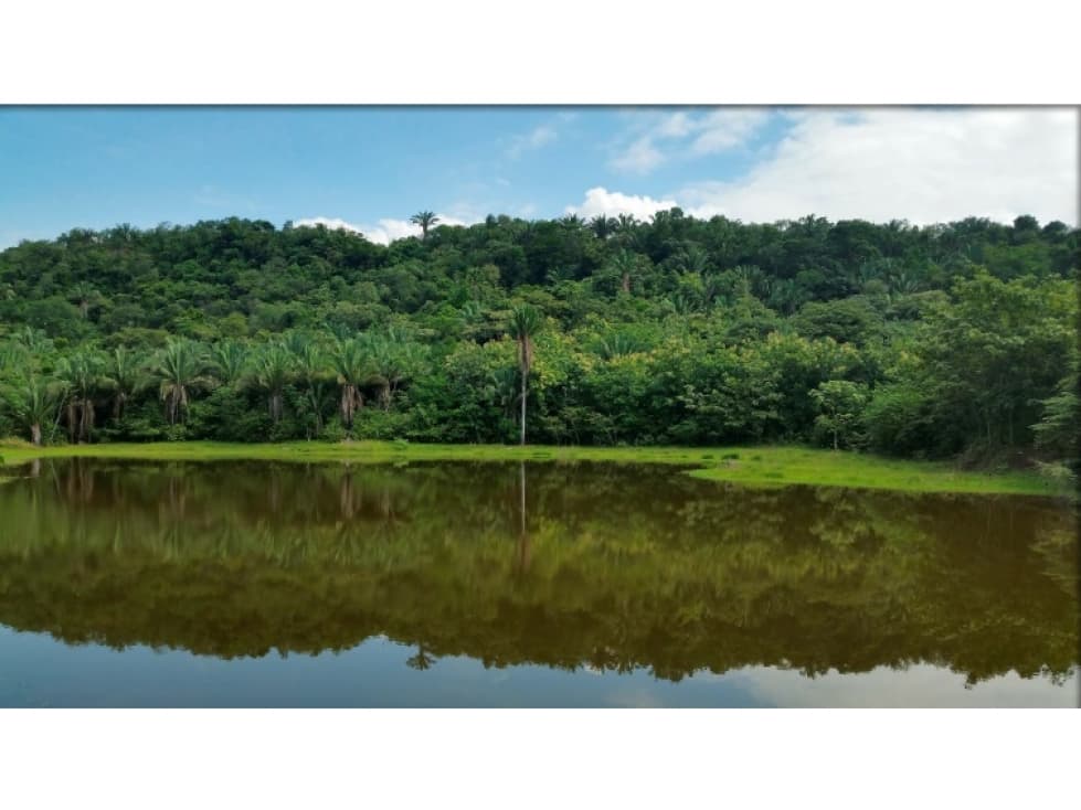 Lote en Puerto Salgar: 19.12 hectáreas - 1