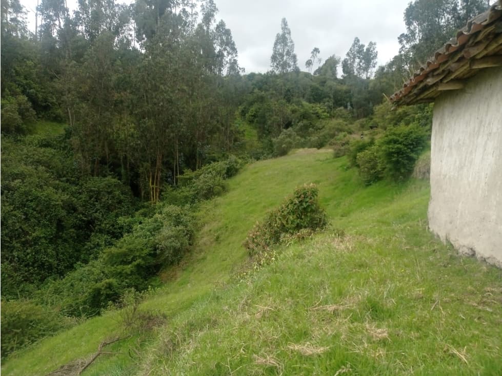 VENDO LOTE VEREDA YANALA - 1