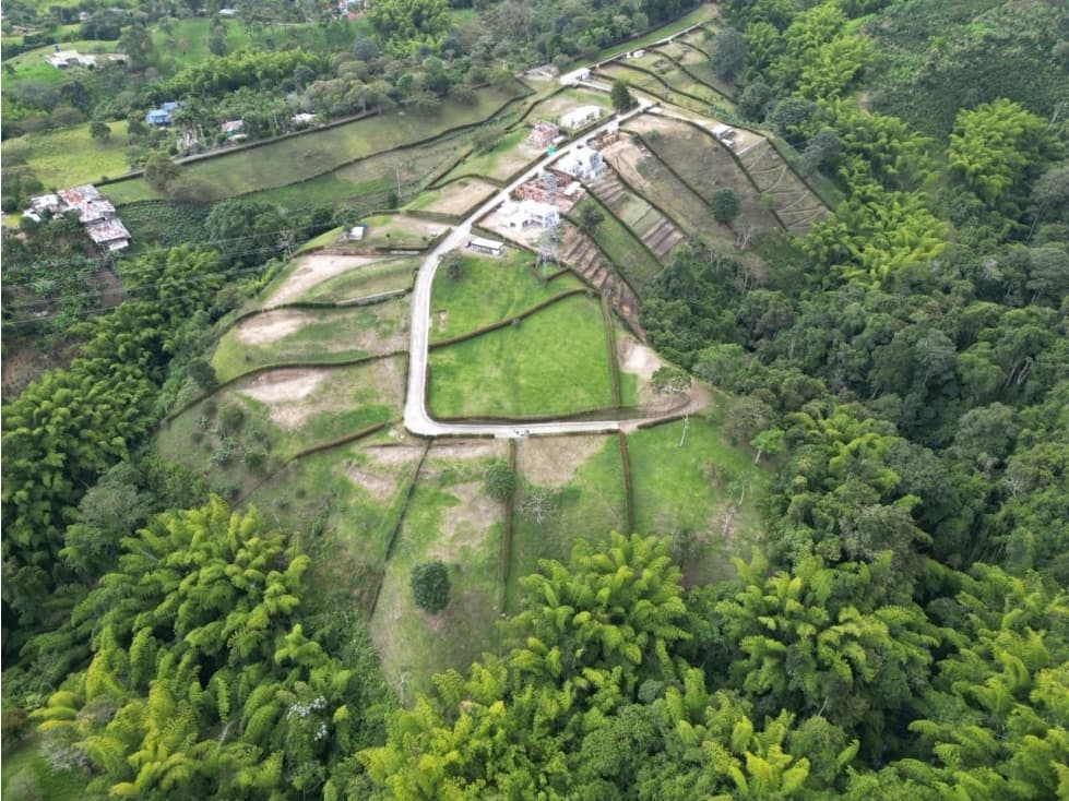 En VENTA LOTE, sector Hojas anchas. - 1