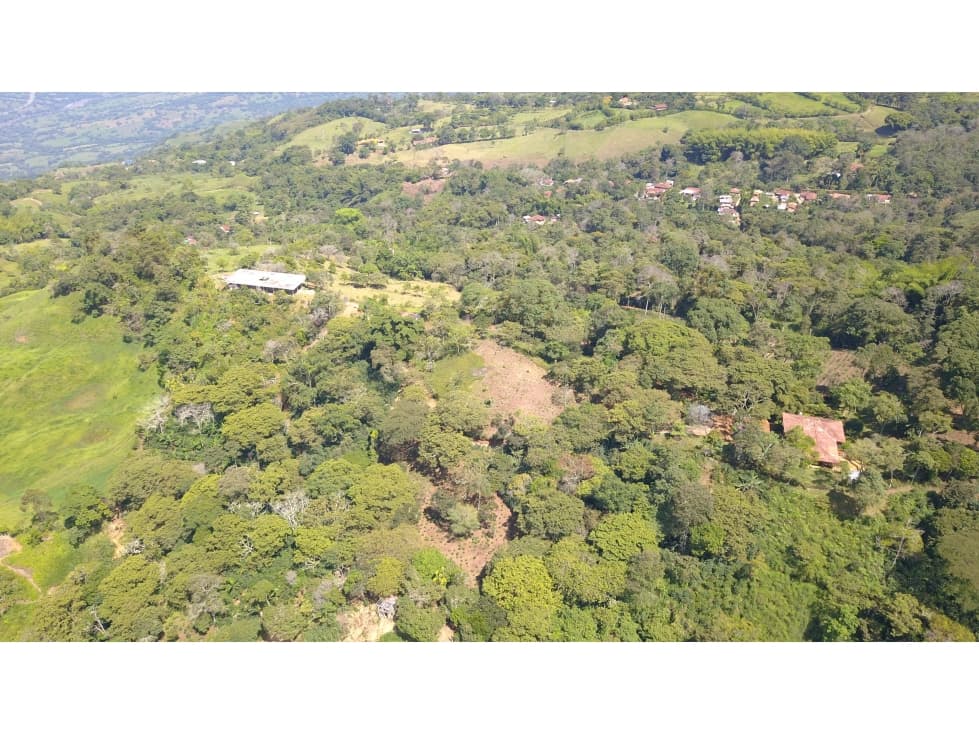 LOTE EN FREDONIA (MARSELLA) - 1