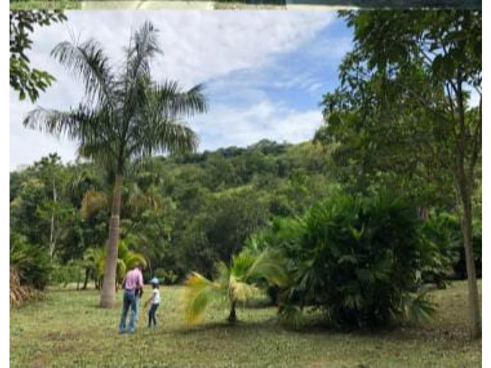 ACSI 798 Lote en venta Nimaima, Cundinamarca - 1