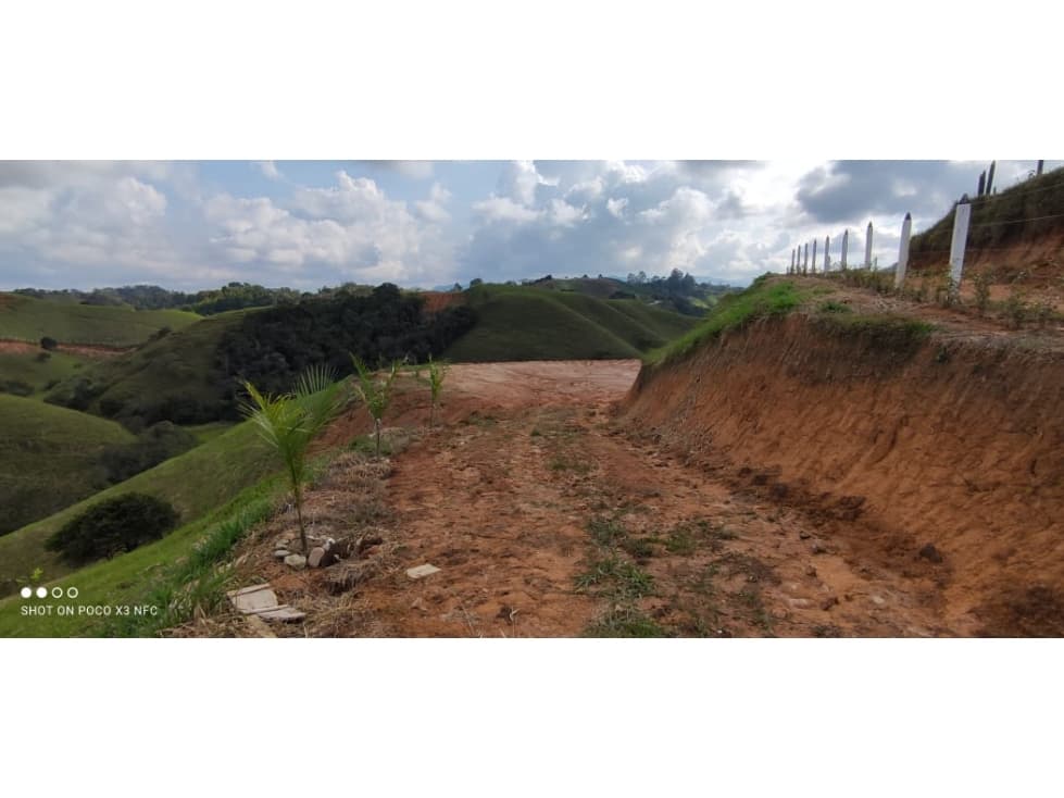 Increíble Lote en Yolombo - Antioquia - 1