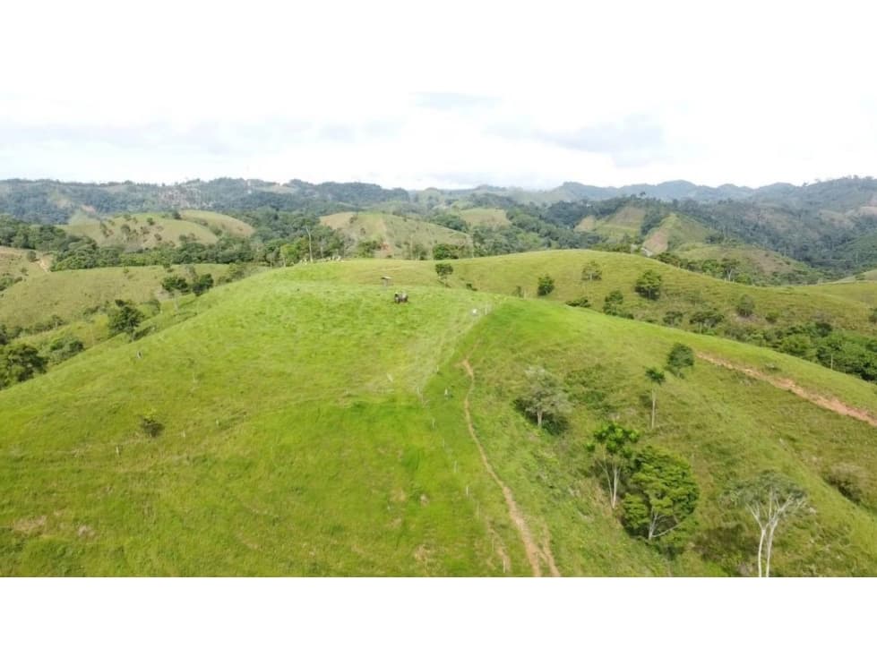 Se vende finca en puerto berrio antioquia - 1