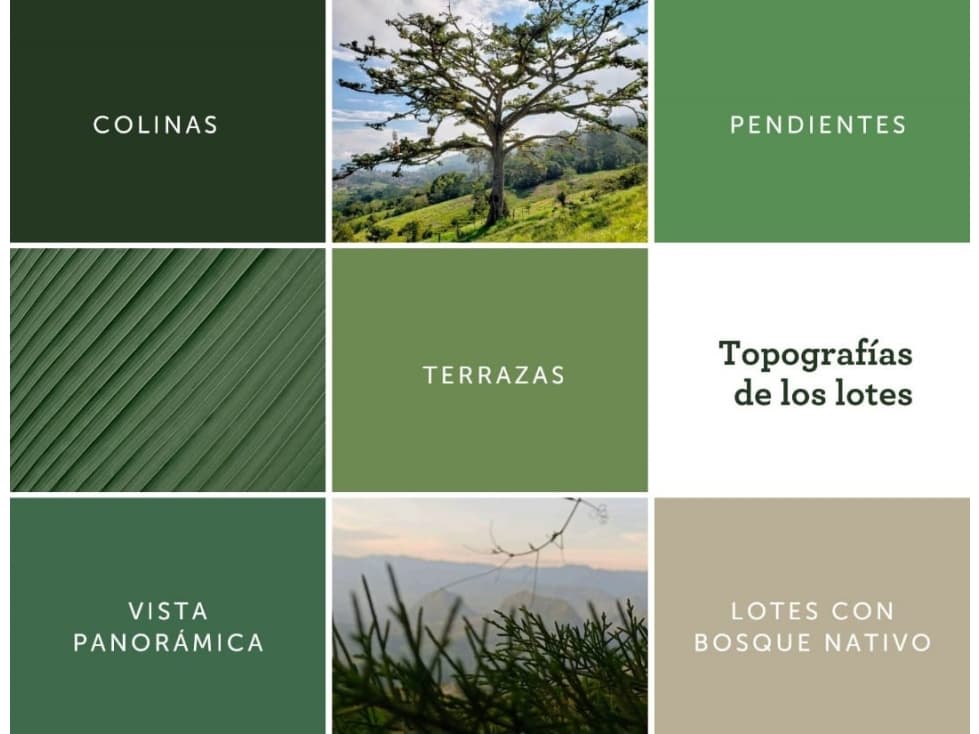 venta de lote - 1