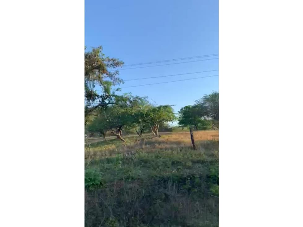 ARRIENDO FINCA + TERRENO VIA CALAMAR BOLIVAR - 1