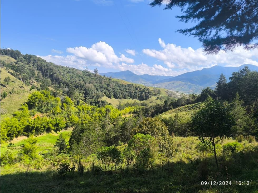 Venta de Lotes en Ecoaldea Vive e INVIERTE CON PROPÓSITO en URRAO - 1