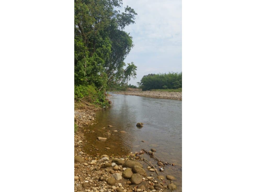 Oportunidad Venta Finca vía Armero - Guayabal, Mariquita - 1