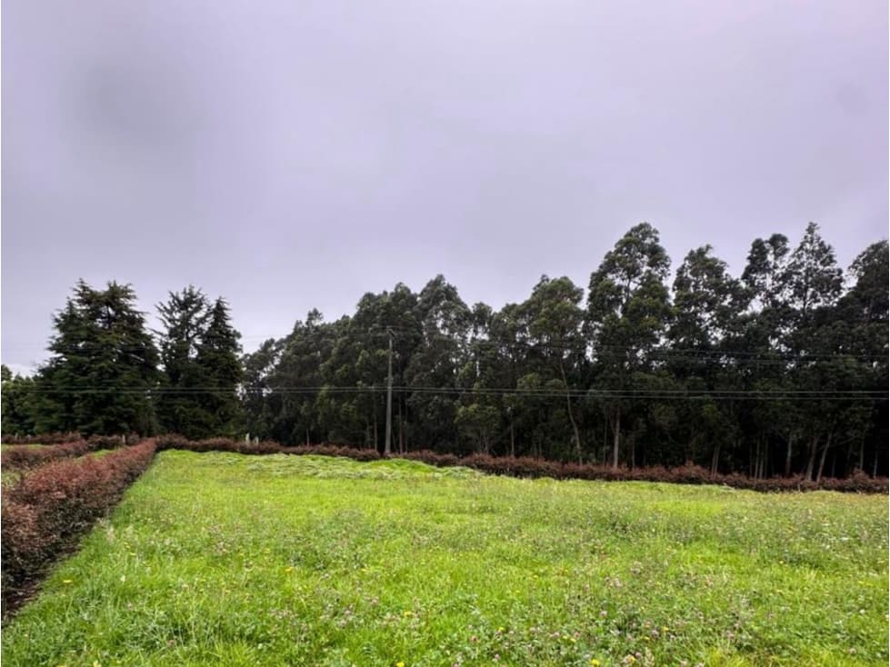 VENTA DE 5 LOTES EN FACATATIVA, EL ROSAL, SECTOR TIERRA GRATA - 1