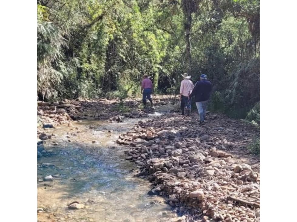 VENDO FINCA EN MOGOTES SANTANDER 189 HECTAREAS, AGUA... - 1