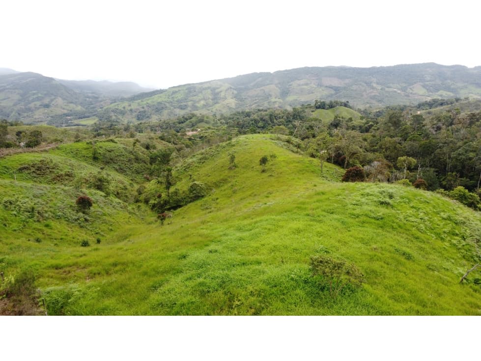 SE VENDE FINCA VDA LA COLORADA SECTOR LOS CEDROS; SUAITA SANTANDER - 1