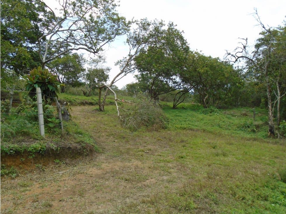 Se venden lotes Alameda Campestre- Barbosa, Santander - 1