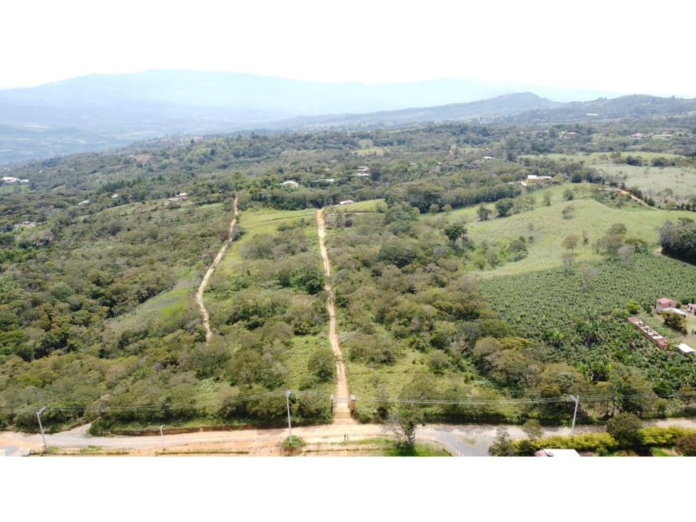 Se venden lotes vereda pozo negro-Barbosa, Santander - 1