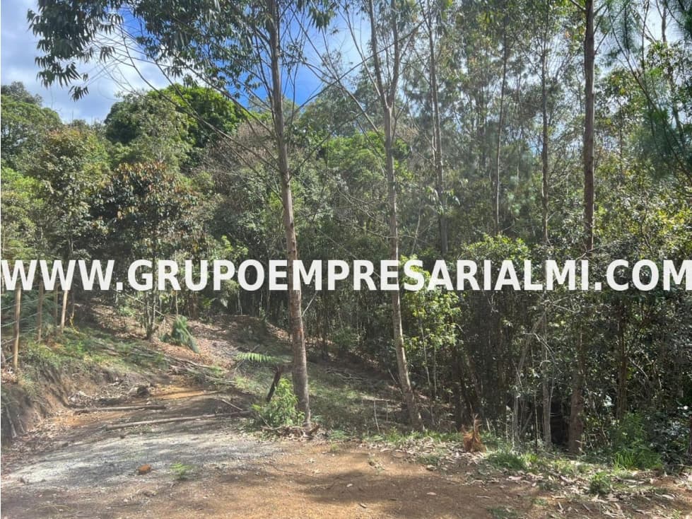 EXCELENTE LOTE EN VENTA - SECTOR SANTA ELENA COD: 30429 - 1