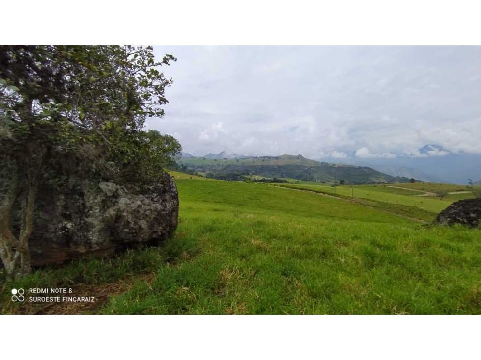 VENTA LOTE TARSO, SUROESTE ANTIOQUEÑO - 1