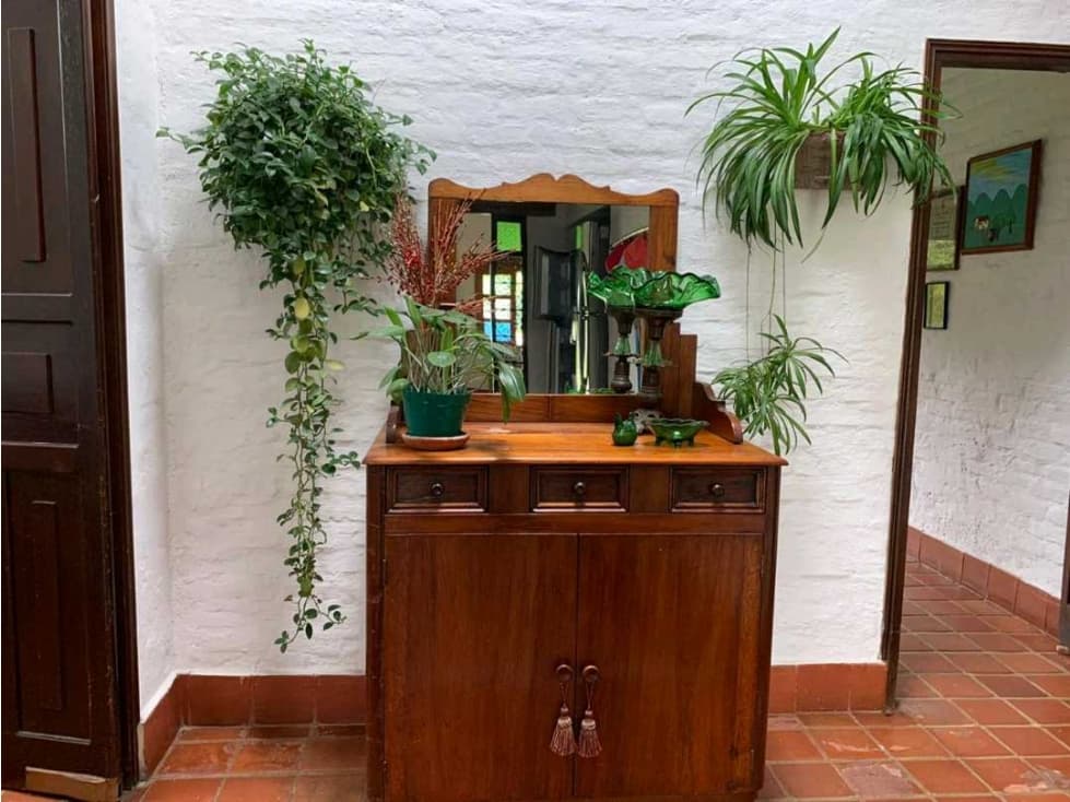 Vendo finca - 1