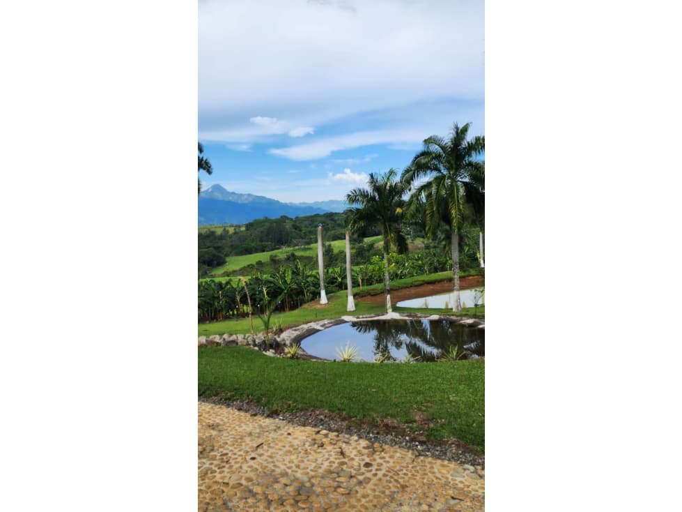 Vendo súper lote para desarrollo Inmobiliario en Tarzo Antioquía - 1