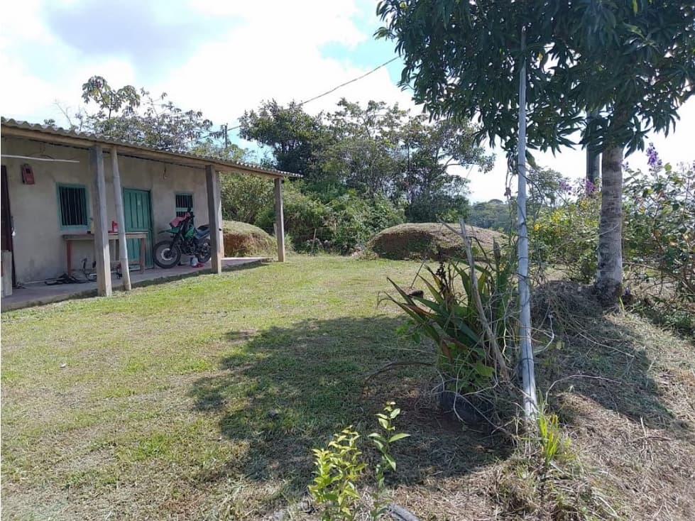 Venta de finca tradicional campesina en san Rafael antioquia - 1