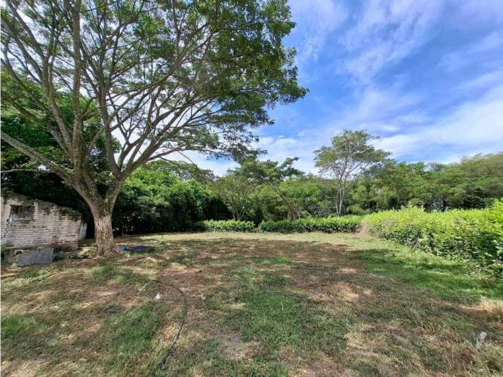VENTA DE LOTE CAMPESTRE ZARAGOZA CARTAGO VALLE - 1