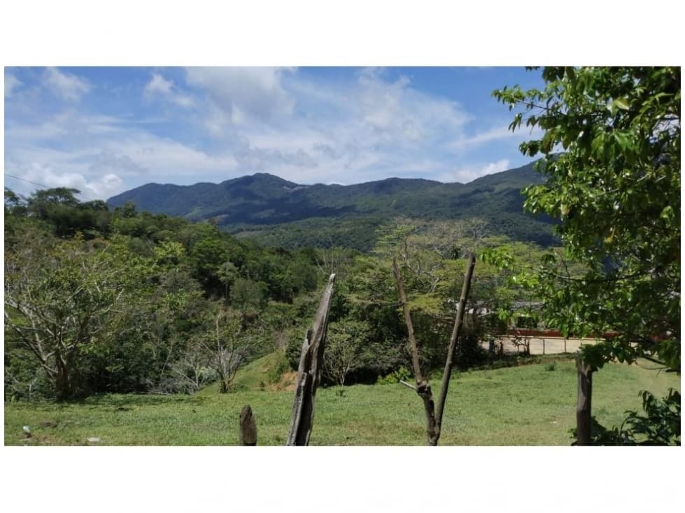 Venta de Lote en San Luis Antioquia - 1
