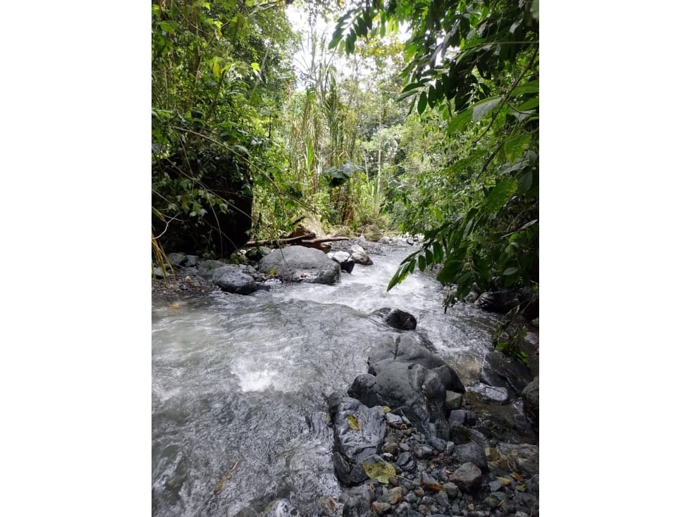 Lote rural p/ potenciar Rentabilidad y Valorización -  Pradera - 1