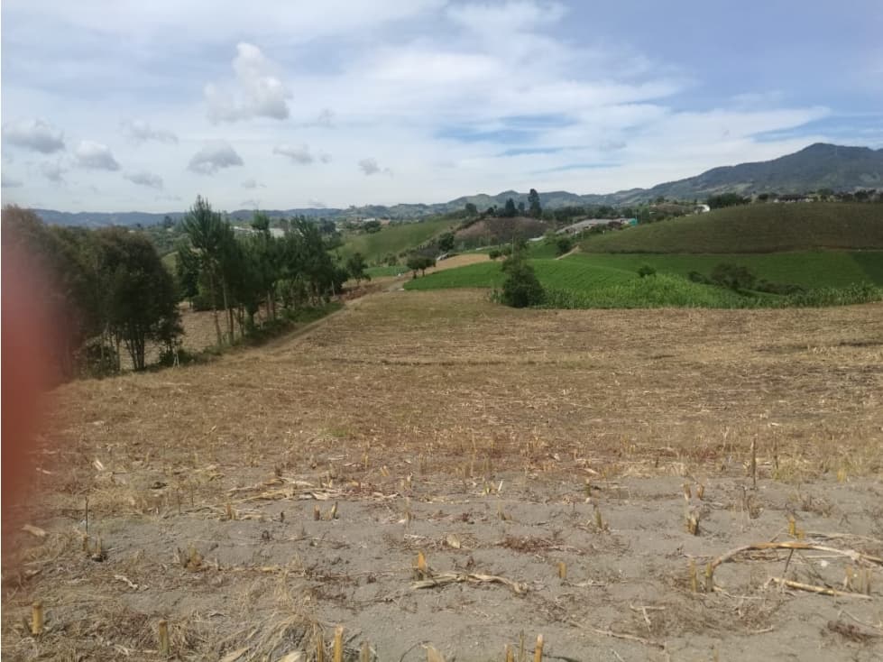 Lote Industrial Vìa Rionegro - El Carmen - 1