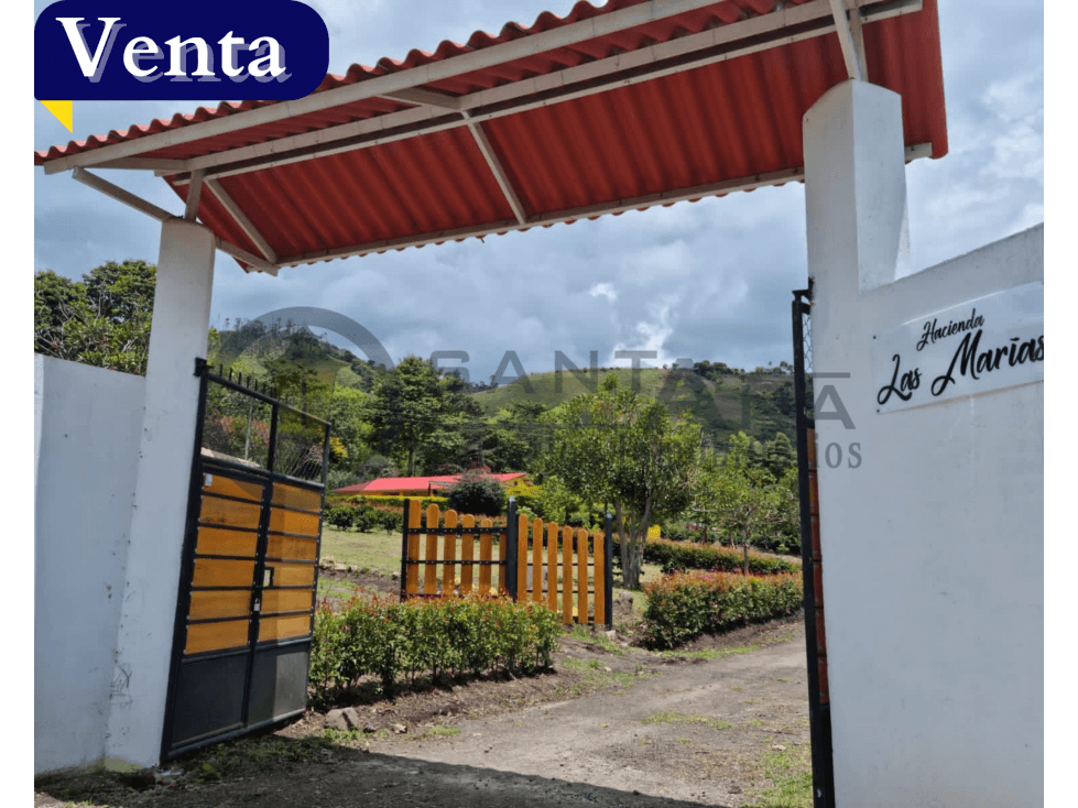 vendo lotes sector yacuanquer hacienda las marias - 1