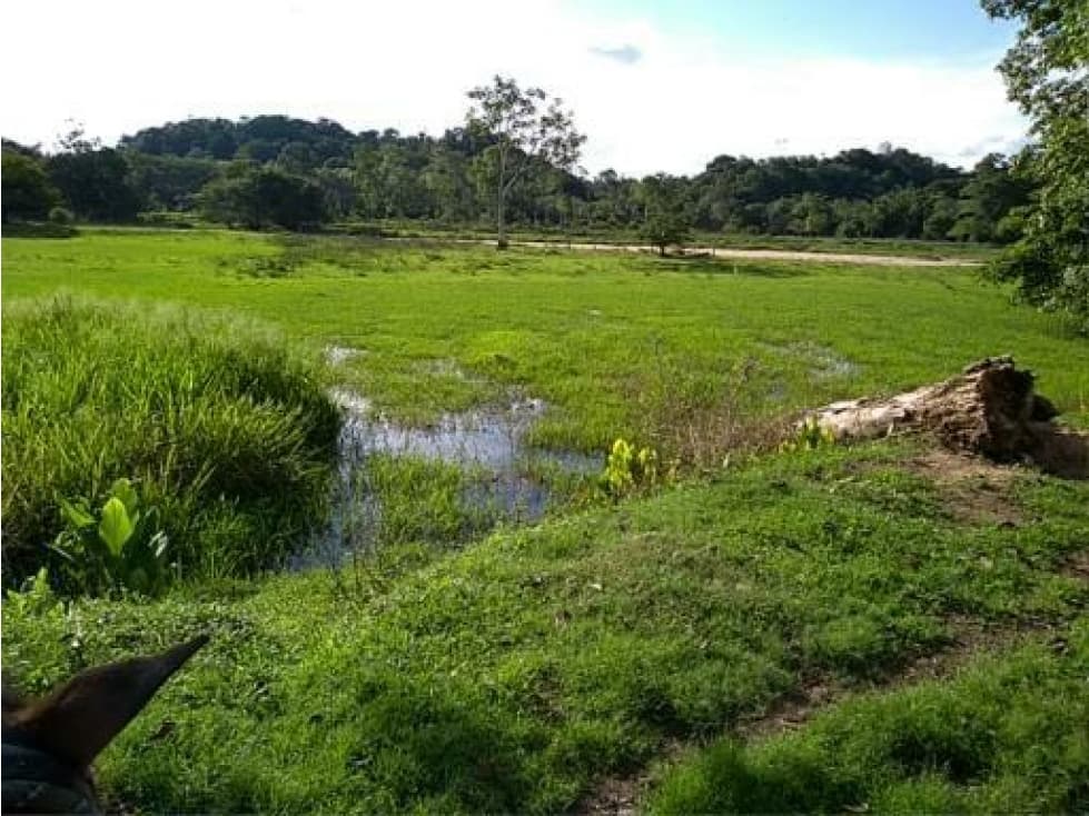 FINCA ENTRE PUERTO BOYACA Y BOLIVAR - 1