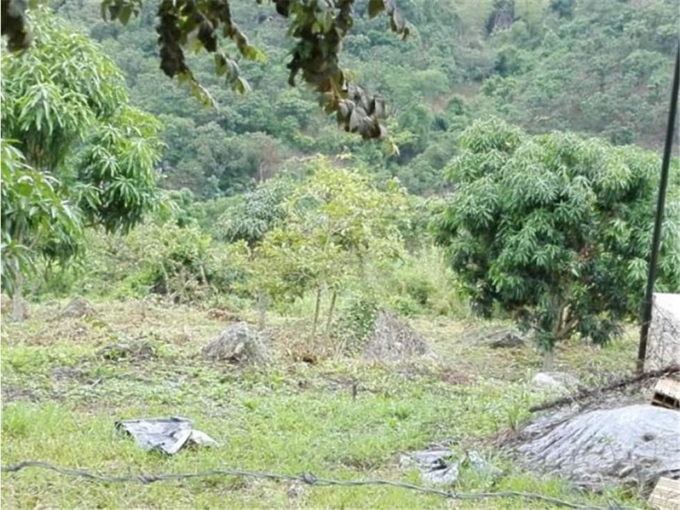 VENDO LOTE EN TENA CUNDINAMARCA - 1