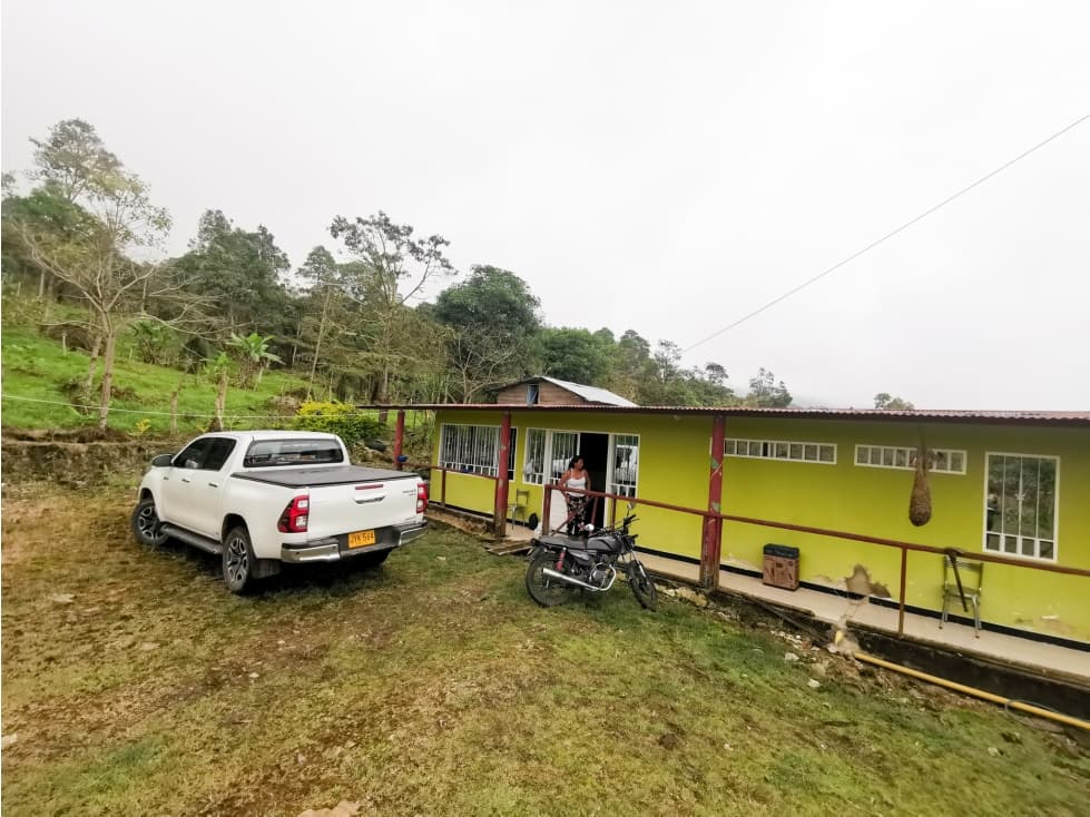 VENTA FINCA VIA ICONONZO TOLIMA VEREDA EL TRIUNFO - 1