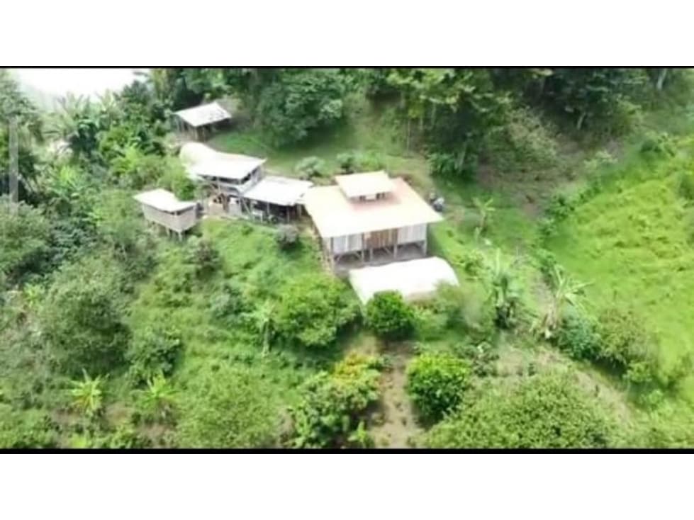 Vendo Finca Cafetera y Productiva - 1