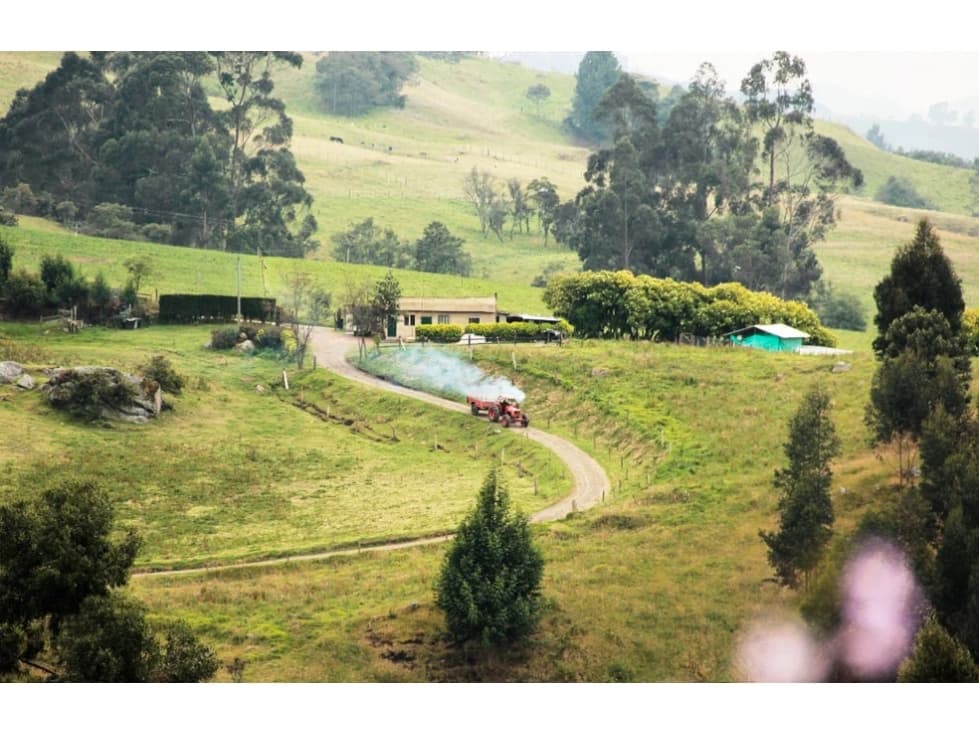 SE VENDE FINCA LA SEVILLA SABANA DE TORRES - 1