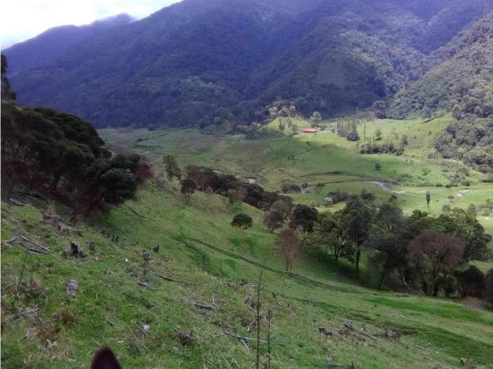 FINCA EN CAJAMARCA - 1