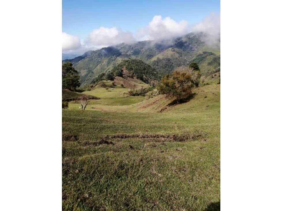 Venta de finca en Cajamarca - 1