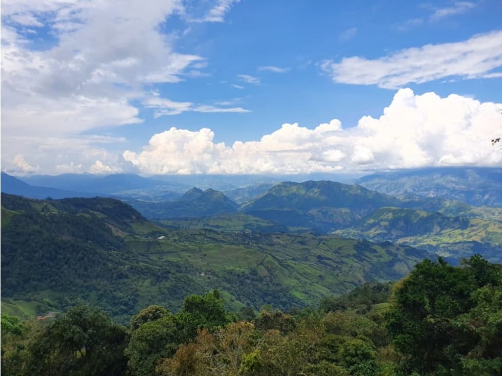 LOTE RURAL CARAMANTA ANTIOQUIA - 1