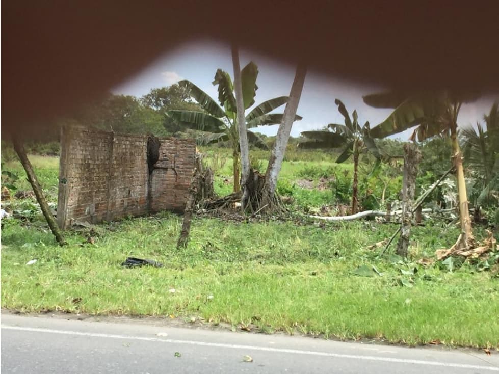 VENDO  LOTE  EN TUMACO  NARIÑO BUCHELI - 1