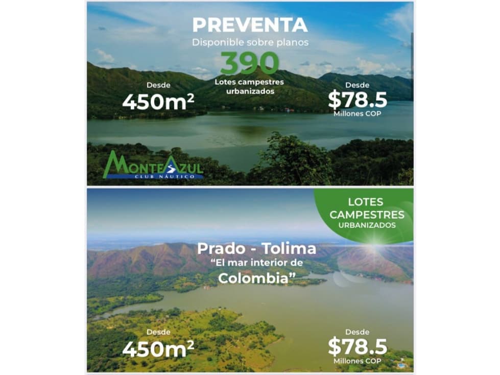 Prado tolima - 1