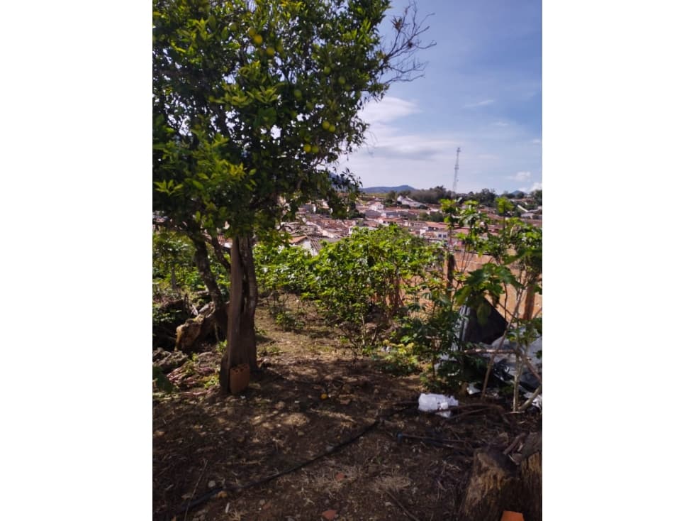 LOTE EN VENTA - 1