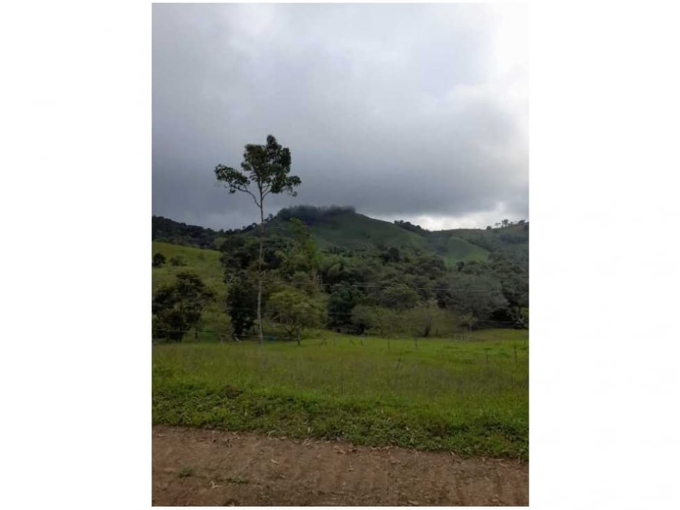 SE VENDE FINCA GANADERA , DAGUA. A - 1