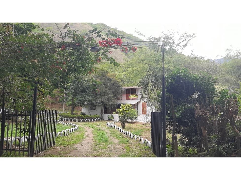 Finca en vijes 1850 mts con 2 viviendas a 500 mts del pueblo - 1