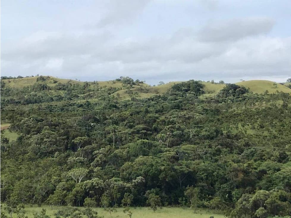 VENTA DE FINCA DE 3000 HECTAREAS A 25 MTOS PUERTO LLERAS - 1