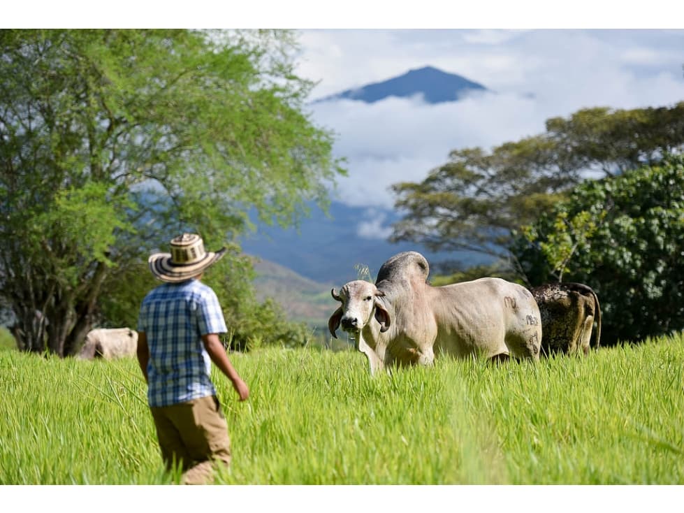 1,400 acre Cattle Farm for Sale Colombia - 1