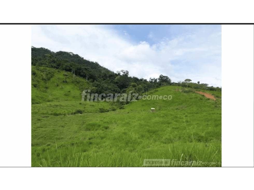1,700 acre cattle farm for sale - 1